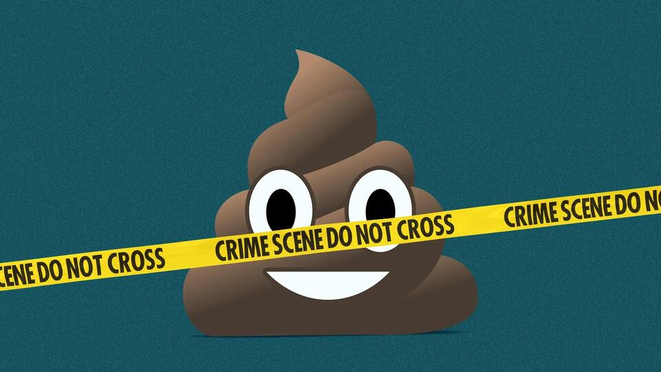 Where should dog poop bags really go?