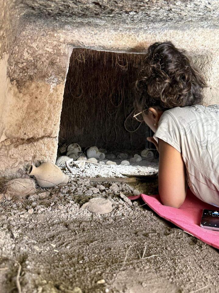 Ancient Fairy Houses Unlocked 🧚‍♂️