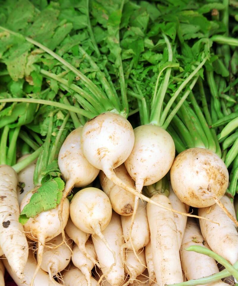 Late Summer Veggies: Sneaky Fall Harvest Hack