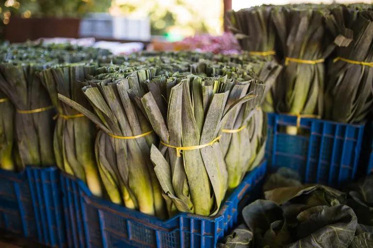 Ditch Plastic at the Grocery Store!
