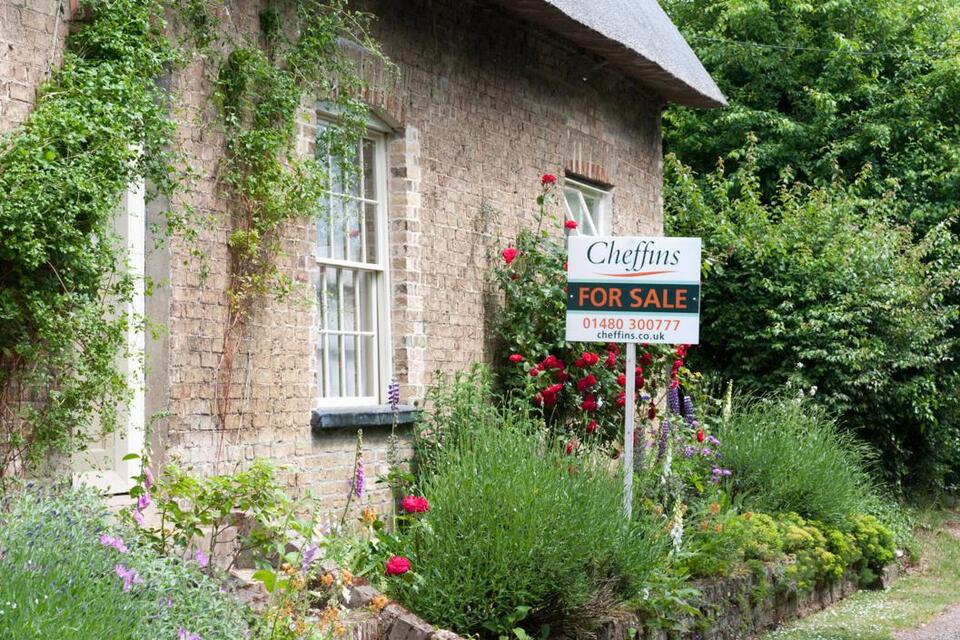 Cottagecore Dreams on a Budget? Here’s Where!