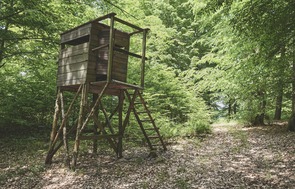Finally bought my own hunting property! 💰