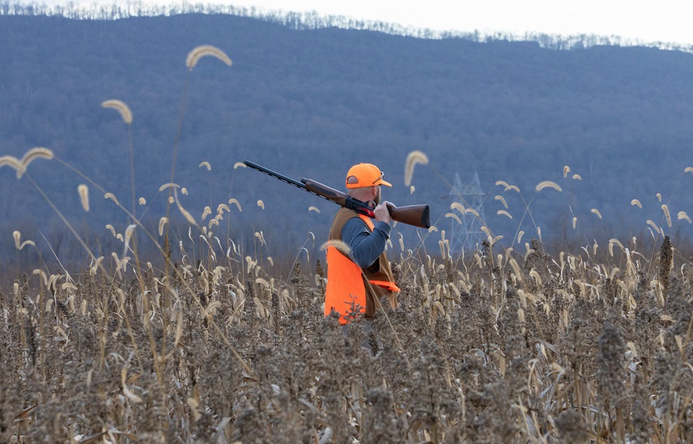 Why I chose a paid hunter for my farm