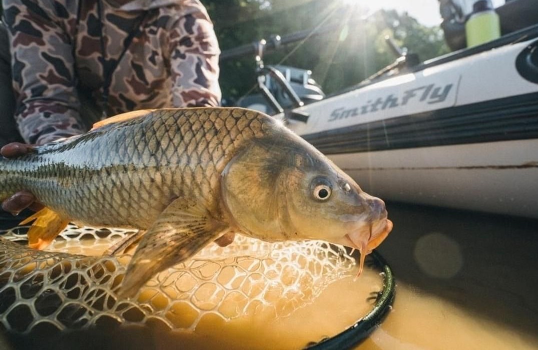 Tips that helped me finally hook more carp