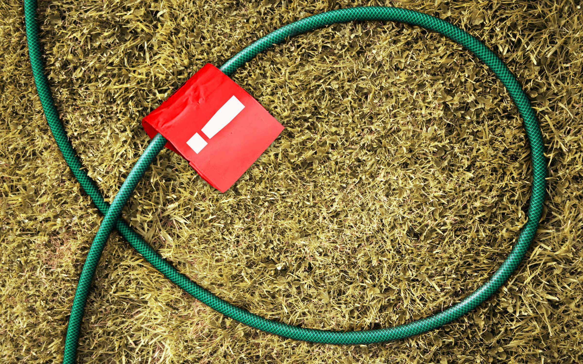 A woman tried to make her lawn drought-resilient. The HOA told her it looked “too green.”