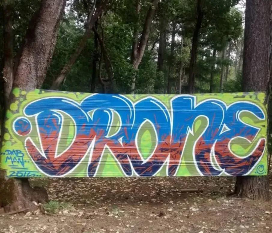 Plastic Wrap Art in Woods Sparks Outrage 🌲