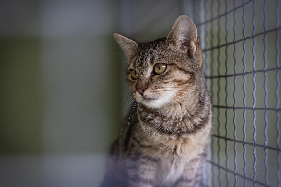 Eugene’s 5-year wait for a family