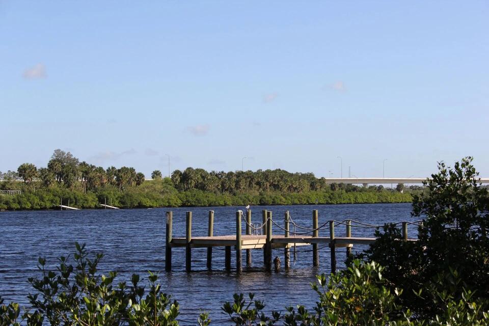 Tampa’s birds face hidden danger over canals