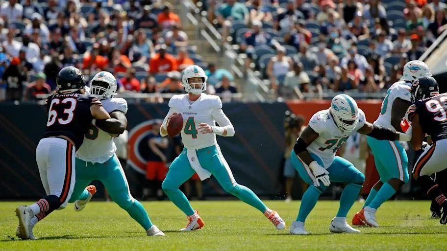 Dolphins vs Bears: Preseason TV Spotlight