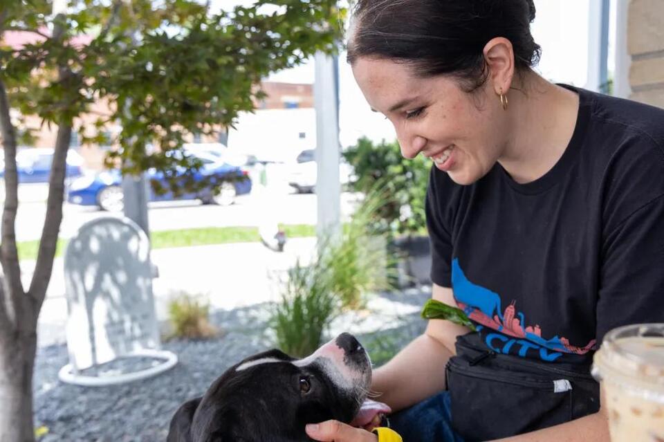 Indy shelter animals losing out after volunteer hour cuts