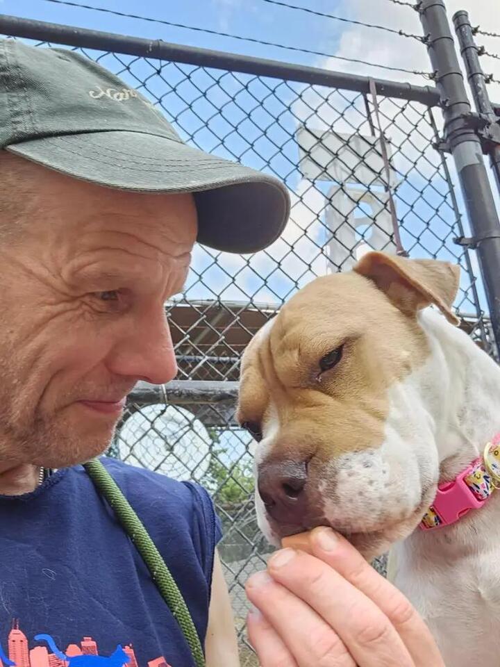 Indy shelter animals losing out after volunteer hour cuts