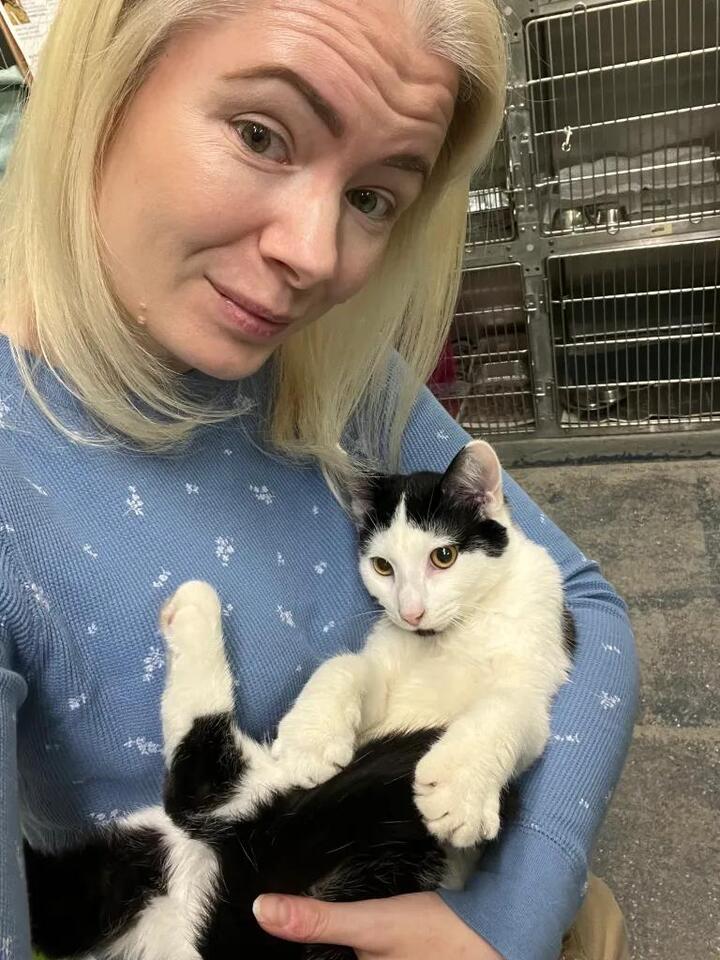 Indy shelter animals losing out after volunteer hour cuts