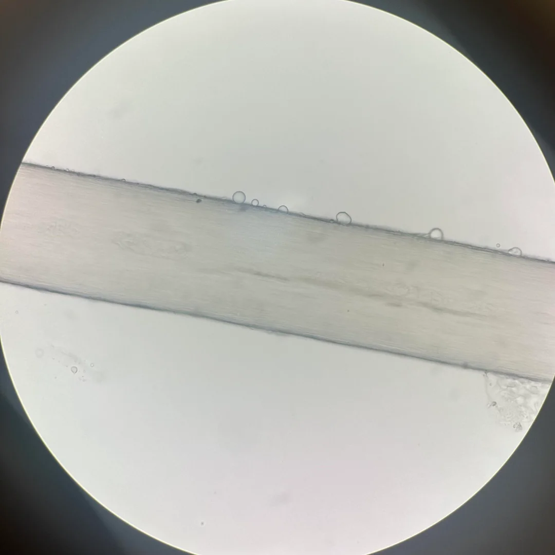 See what bleached hair really looks like under the microscope 🤯