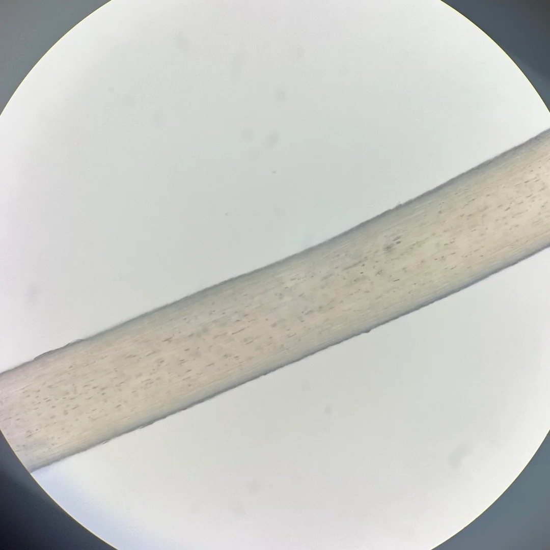 See what bleached hair really looks like under the microscope 🤯