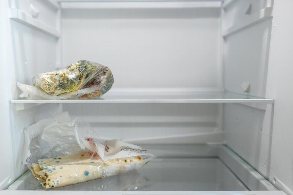 Foods You Should NEVER Refreeze!