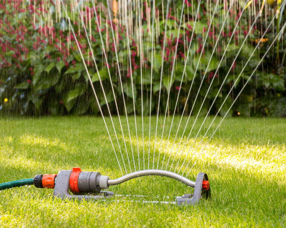 Save Your Lawn from August Heat!