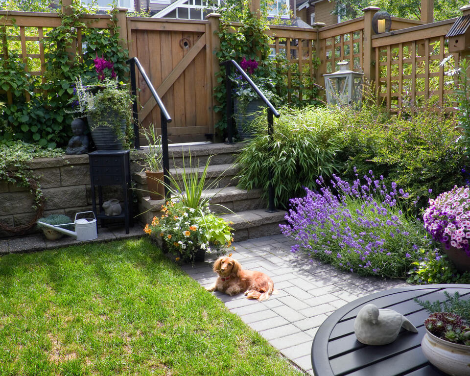 Save Your Lawn from August Heat!