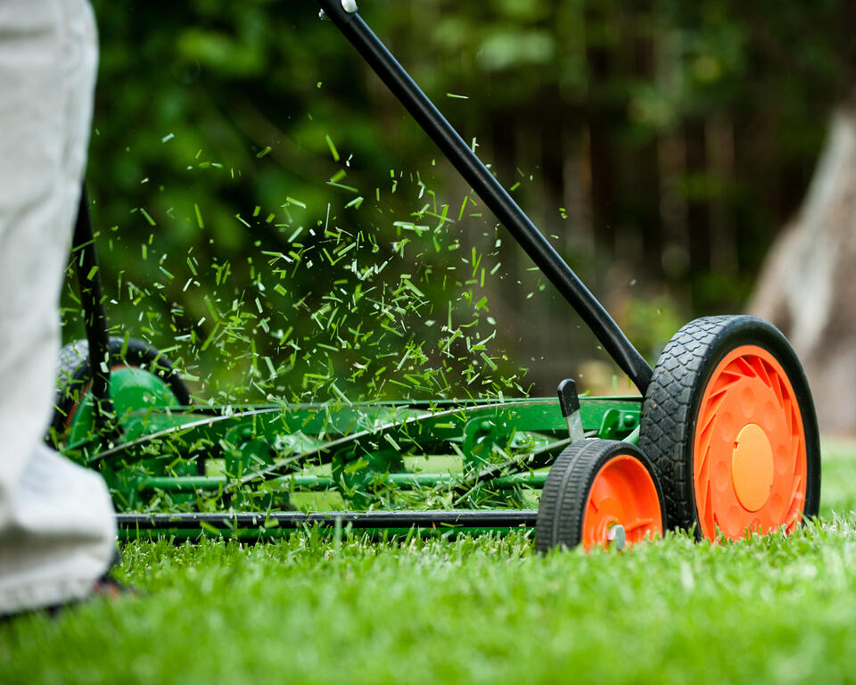 Save Your Lawn from August Heat!
