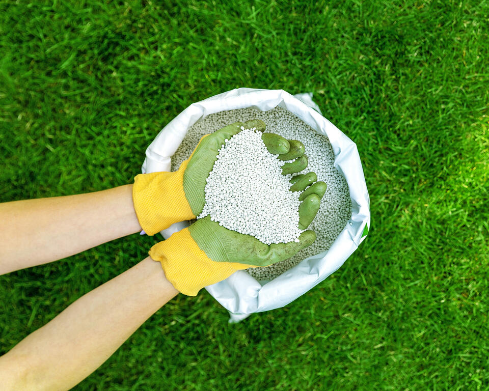 Save Your Lawn from August Heat!