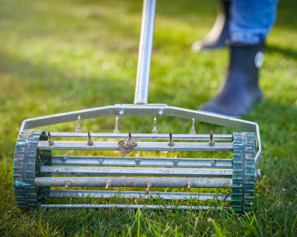 Save Your Lawn from August Heat!