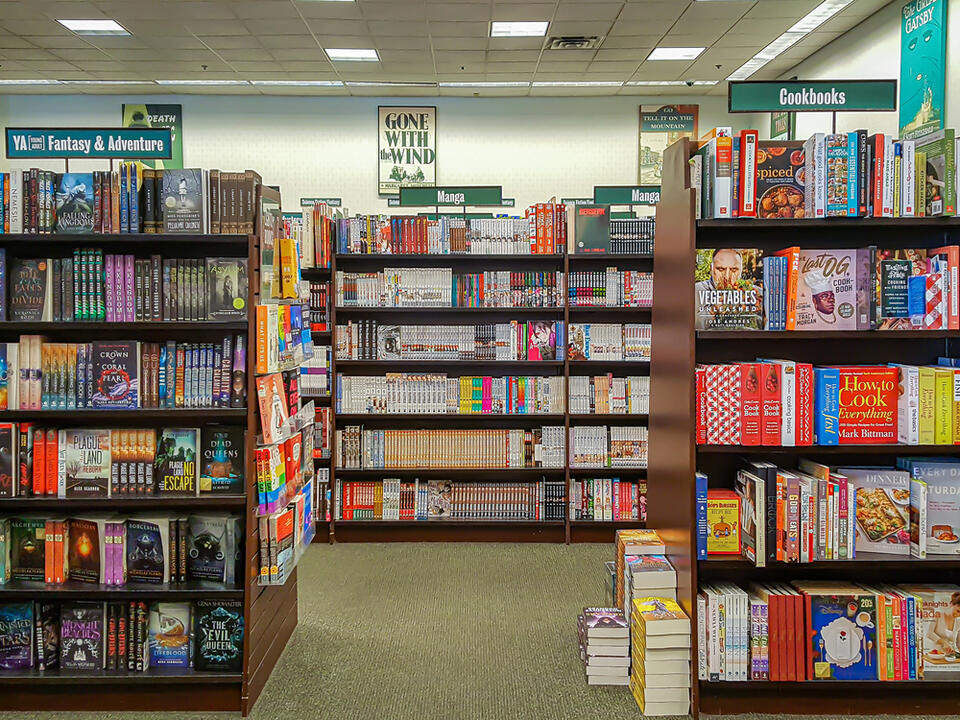 Book Lovers’ Dream Destinations 📚