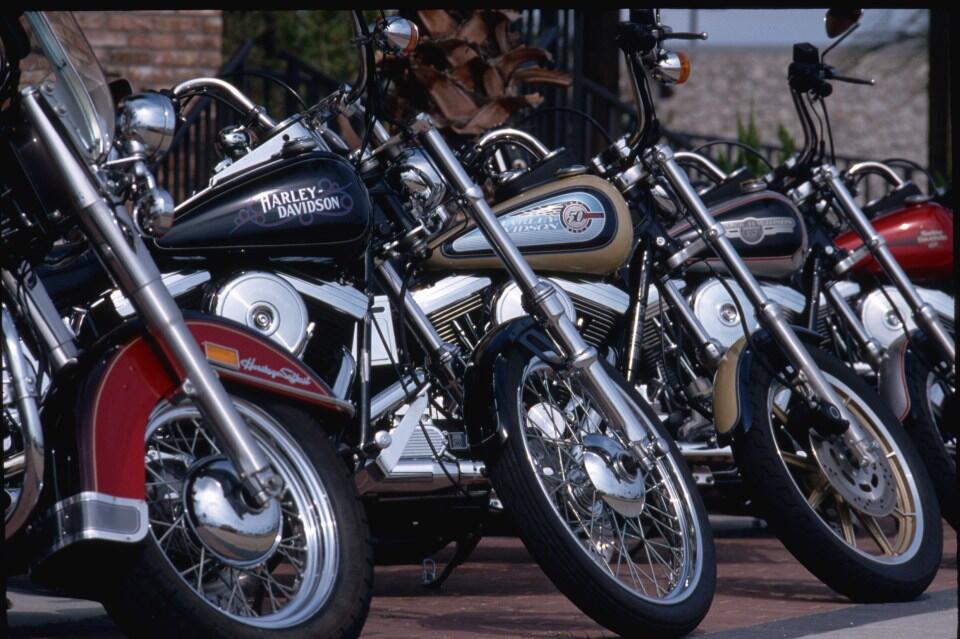 Harley’s $6K Bike & New Boss: Can It Rev Up Sales?