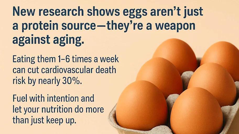 Eggs Are Basically Longevity Power-Ups