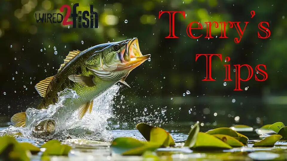 Unlock Terry’s Summer Fishing Secrets