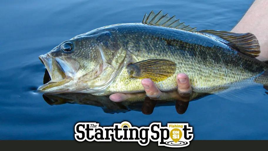 Bass Fishing Drama: AOY Race & KVD’s Dream Team
