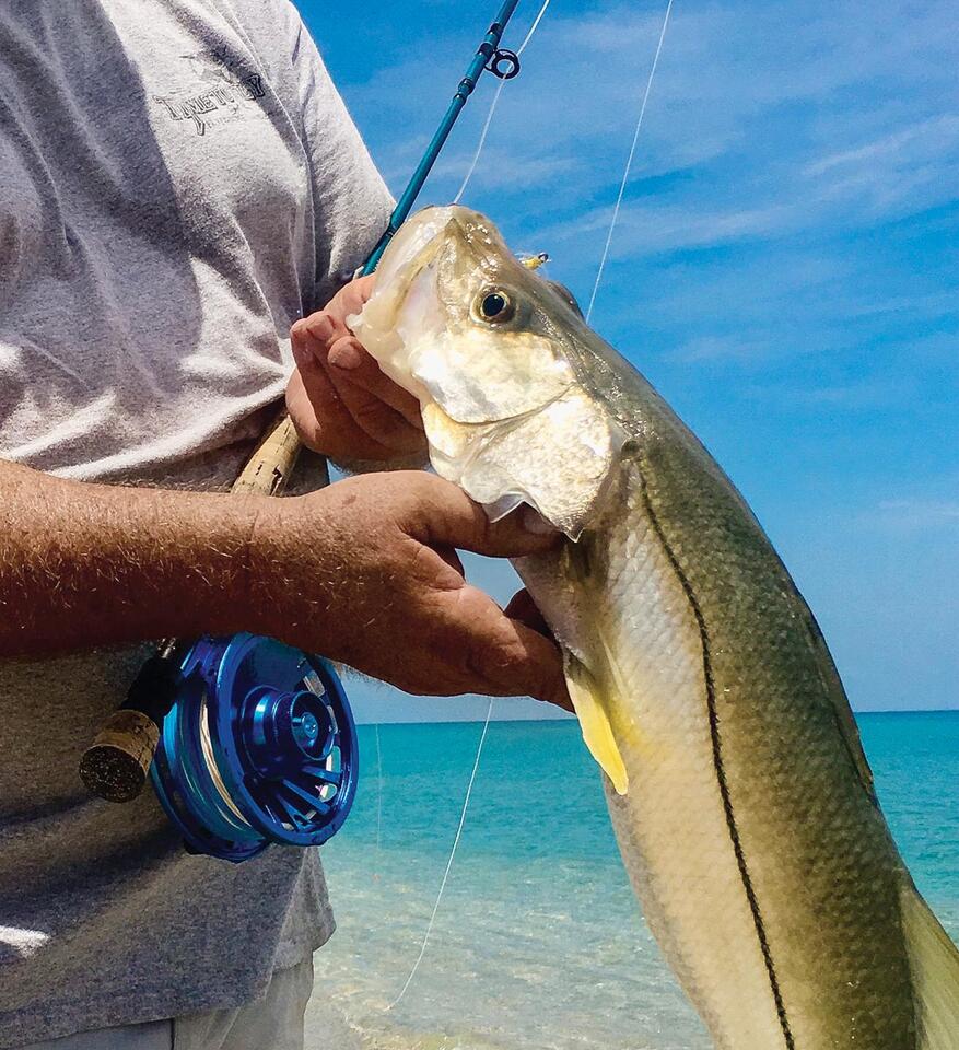 Snook season in Southeast Florida: Handle with care!