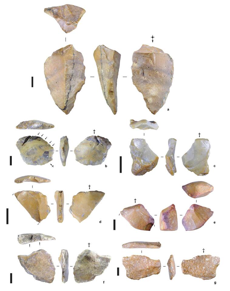 Ancient Tools & the Hobbit Human Mystery