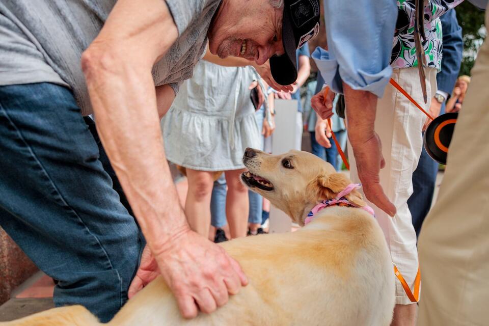 Ann Arbor man’s joyful reunion with his dog
