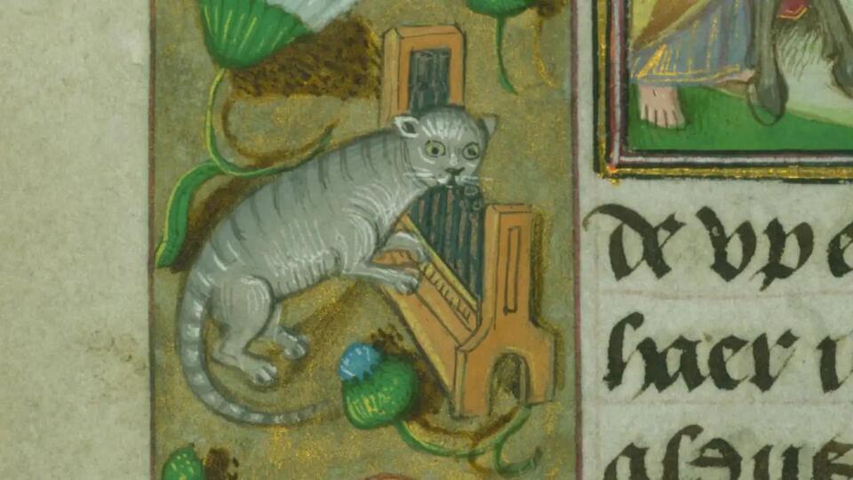 Baltimore’s medieval cat obsession revealed