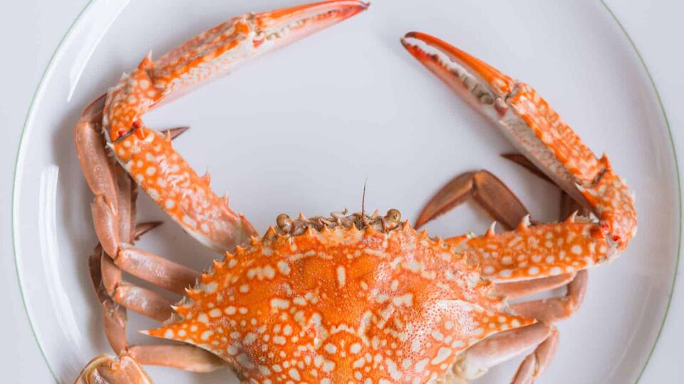 Is Your Seafood Order the Real Deal?