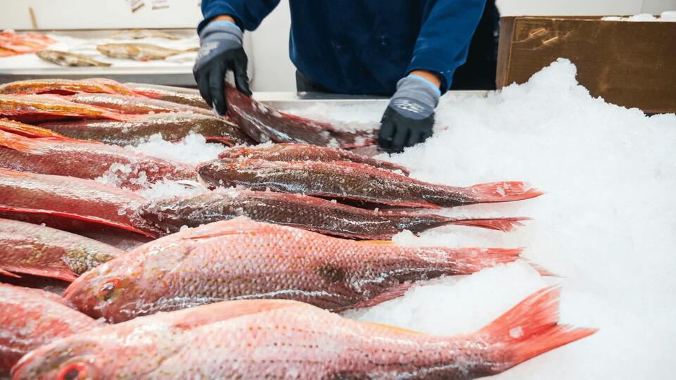 Is Your Seafood Order the Real Deal?