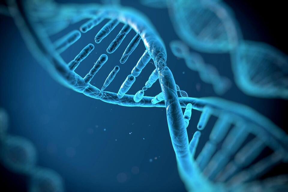 Chronic Fatigue Is in Your Genes?!