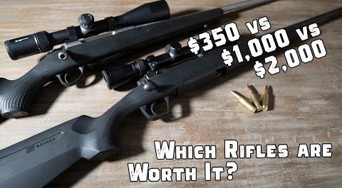 Honestly, cheap rifle killed more deer than my custom gun