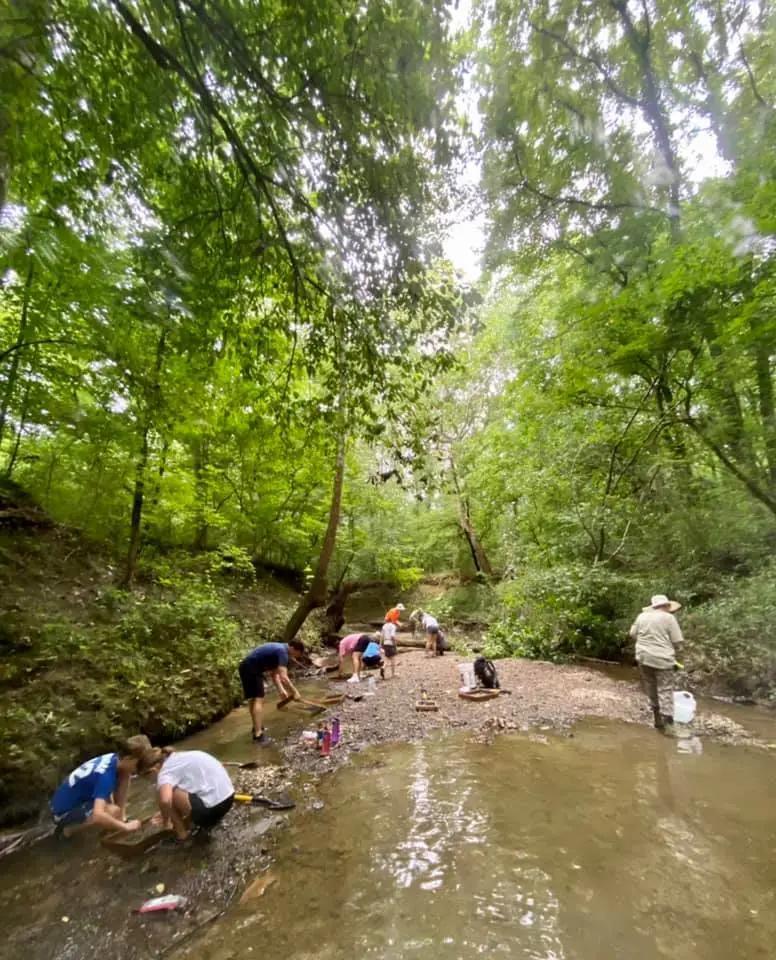 Alabama creek reveals dinosaur mystery
