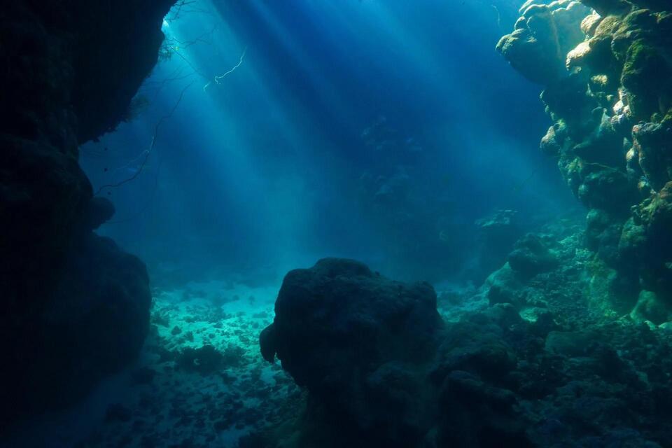 Coral Graveyards Found Under the Sea 😳
