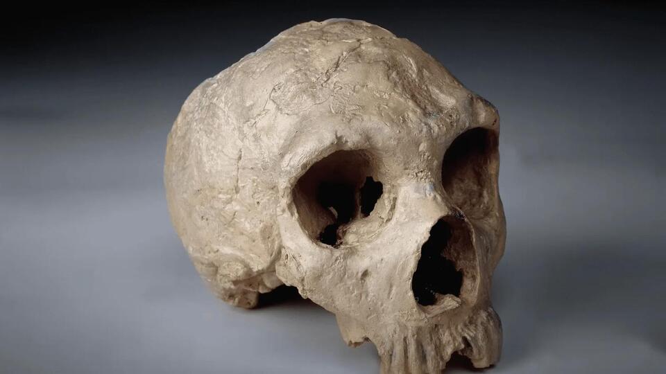 Neanderthals’ Biggest Downfall? Inbreeding!