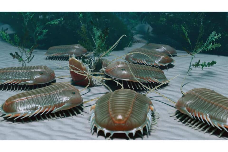 Earth’s First Animals Were Wildly Weird