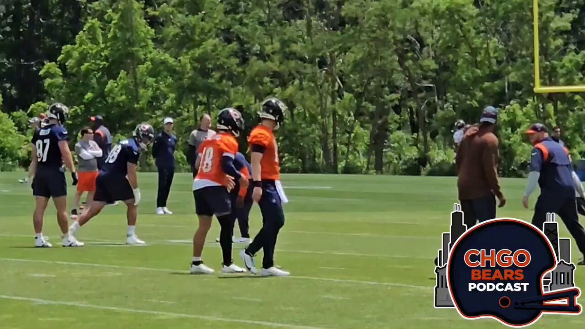 Chicago Bears shake up: TE Carlson’s last stand?