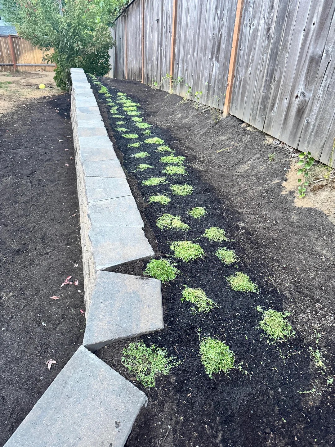 (p2 result) DIY retaining wall, all by myself, $6000, 4 weekends 😎 full build process