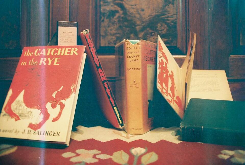 Catcher in the Rye: Still Banned?! 😱