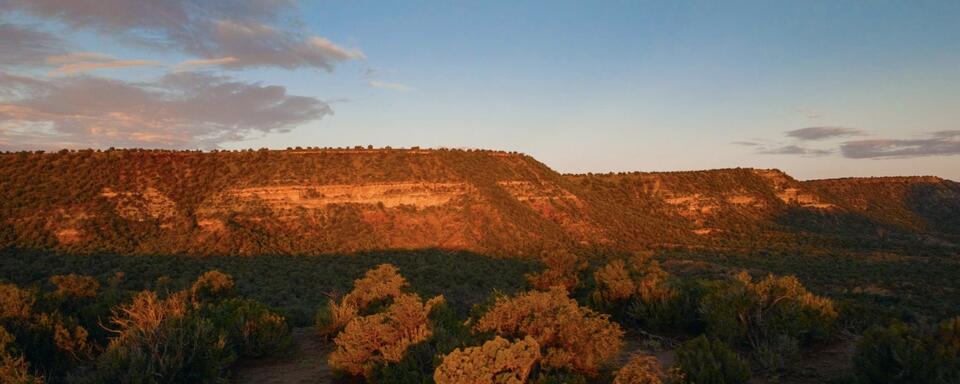 Inside New Mexico’s wild $115M mega-ranch sale