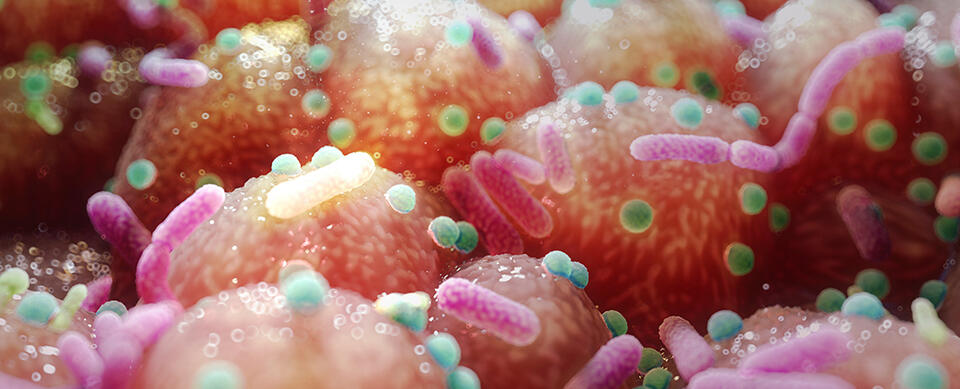 Gut Bacteria Could Be the Key to Parkinson's