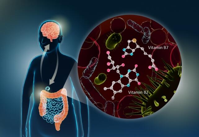 Gut Bacteria Could Be the Key to Parkinson's