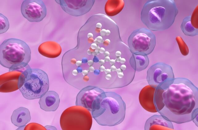 Gut Bacteria Could Be the Key to Parkinson's