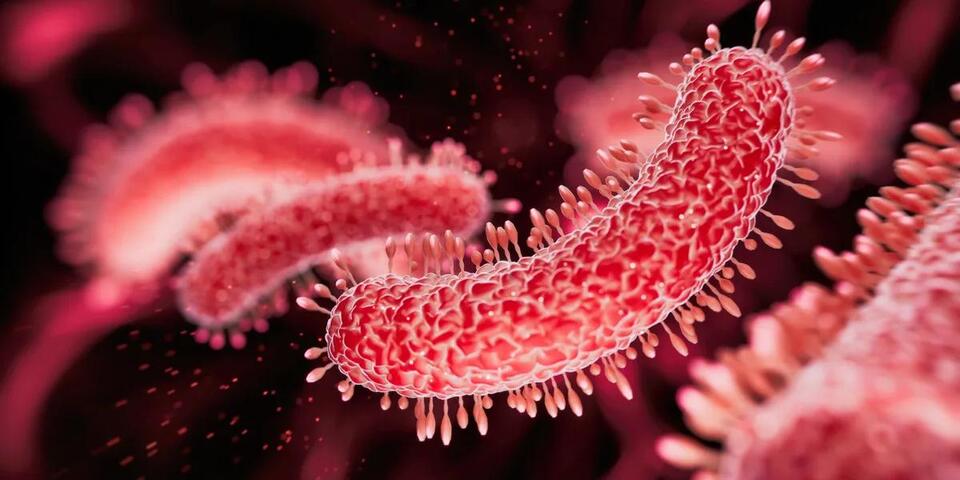 Legionnaires’ outbreak hits Harlem: What’s next?