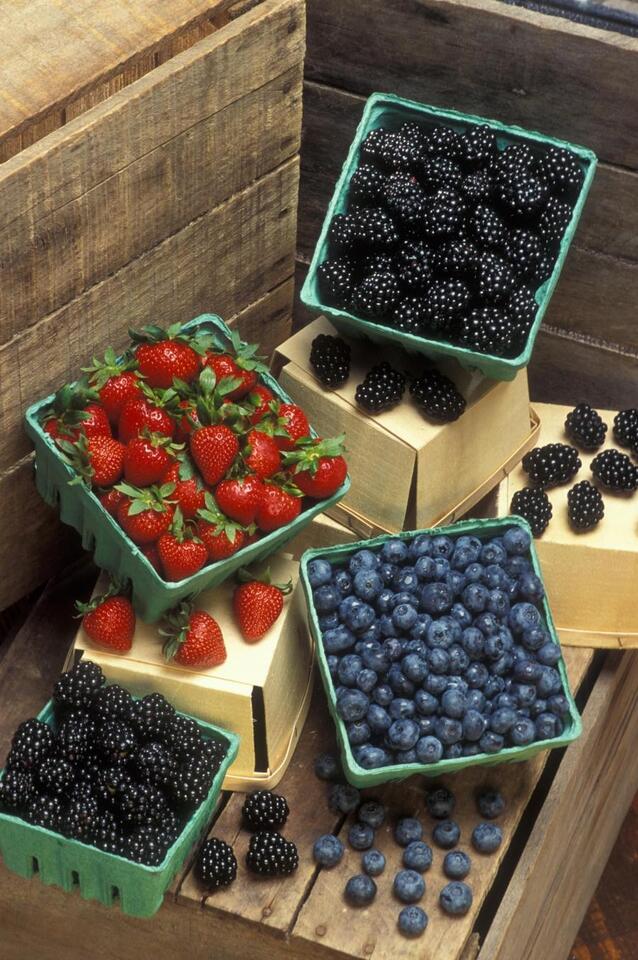 7 Foods That Secretly Lower Blood Pressure